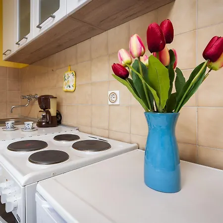 Apartment Modernes Nur 10 Gehminuten Zum Von Mit Privatparkplatz Rovinj